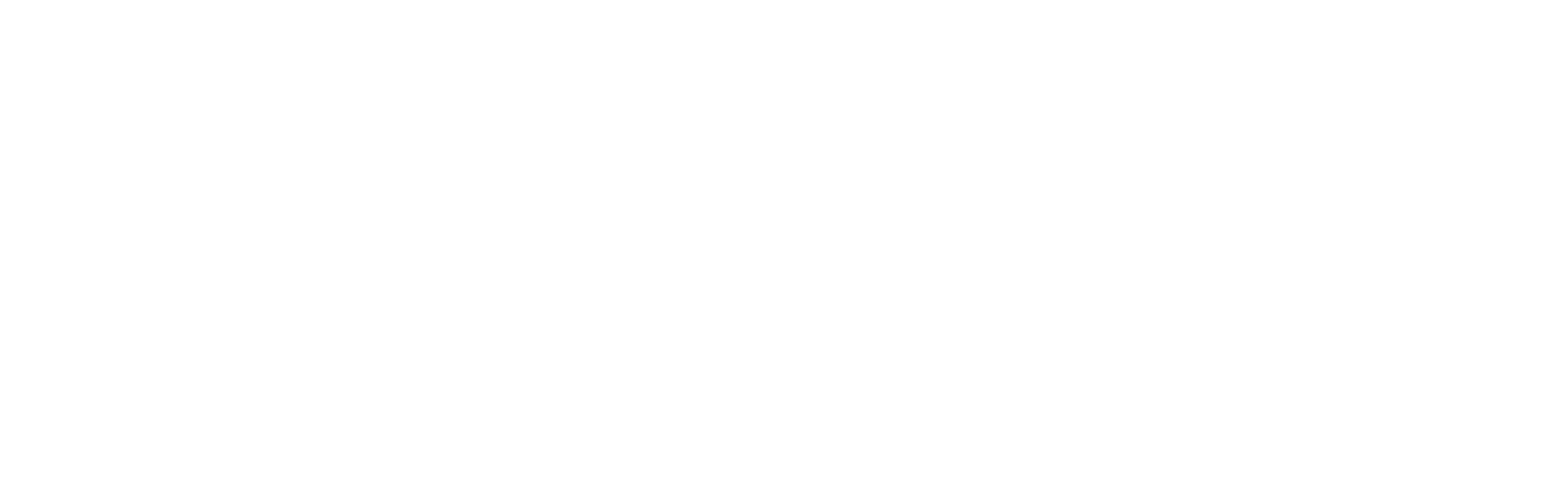 MVMT Logo White